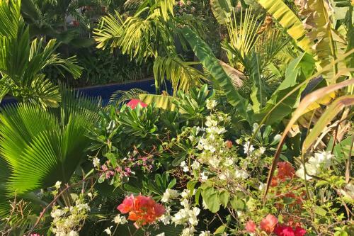 Hotel Manhattan Siem Reap Villa