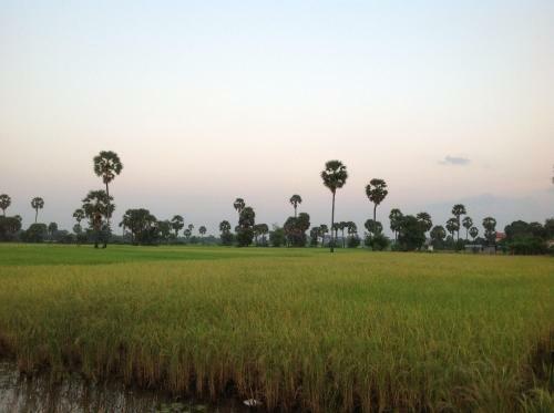Hotel Angkor Rural Boutique
