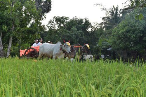 Hotel Angkor Rural Boutique