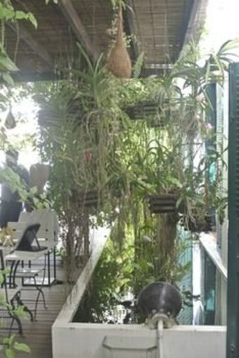 Alliance Boutique Villa