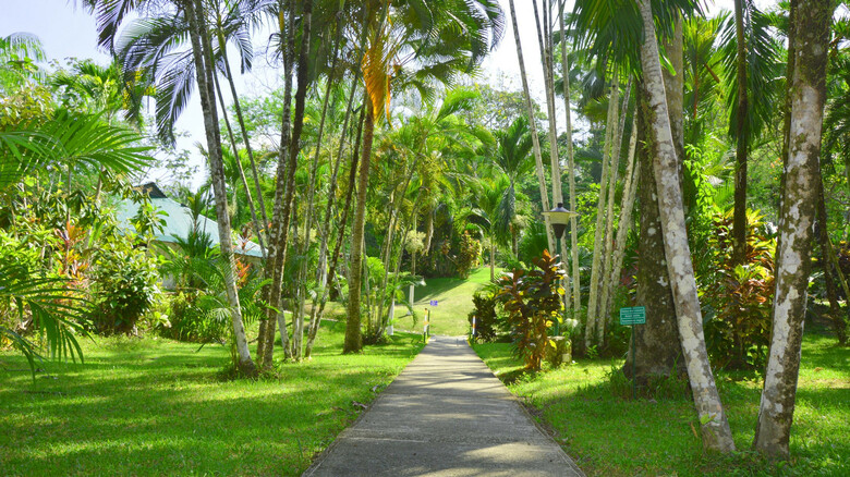 Hotel Villas Rio Mar Dominical
