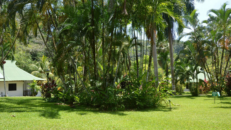 Hotel Villas Rio Mar Dominical