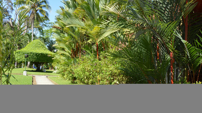 Hotel Villas Rio Mar Dominical
