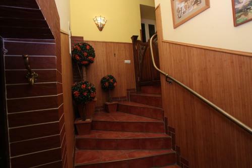Hostel Kolibri