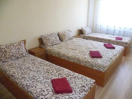 Hostel Vitan