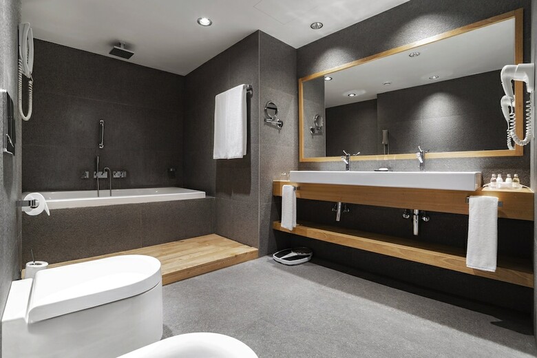Hotel Holiday Inn Tbilisi