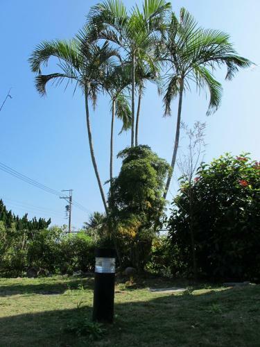 Bed & Breakfast Shangrila Homestay