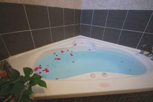 Bed & Breakfast Green Window Homestay