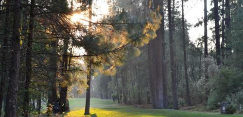 Rancho Viejo Resort & Golf