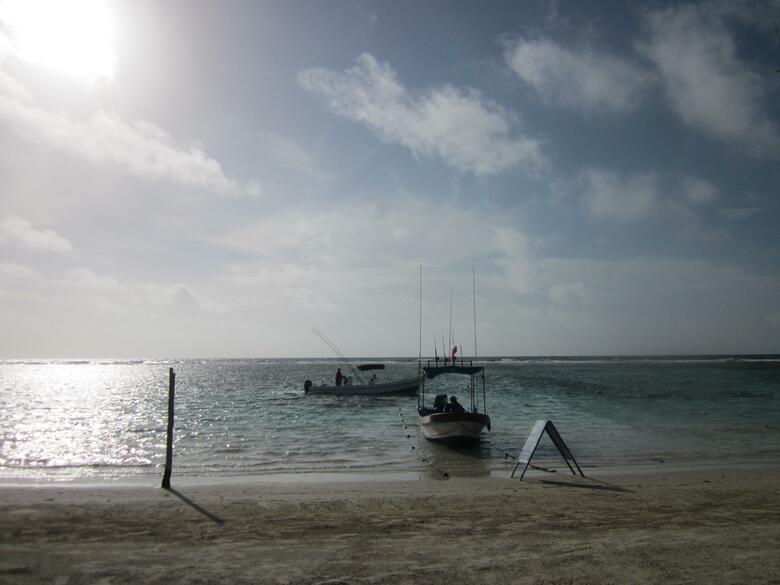 Hostal Jardin Mahahual