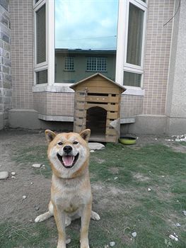 You Liang B&B