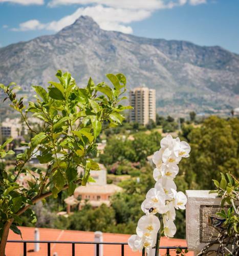 Apartamento Molo Luxury Residences Puerto Banus