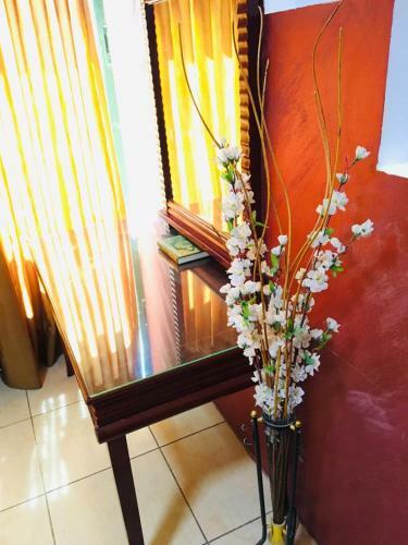 Aparthotel Ya Hala Hotel Suites