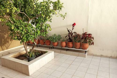 Jilda S Apartment With Private Garden!