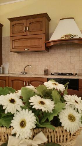 Apartamento Appartamento Il Glicine In Toscana