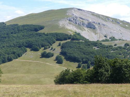 Hostal Domaine Du Murier