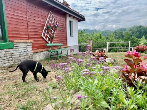 Bed & Breakfast La Dacia In Langa