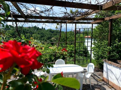 Bed & Breakfast La Dacia In Langa