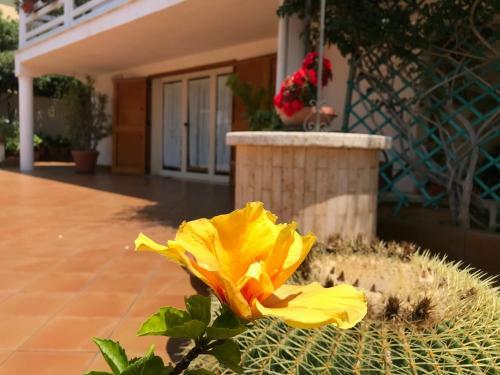 Delianick Holiday Home