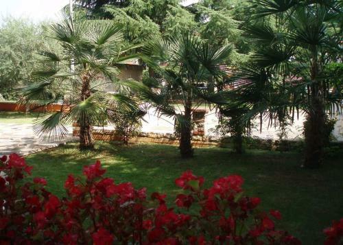 Villa Diana Apartments Pore?