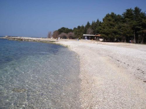 Apartments In Porec/istrien 9901