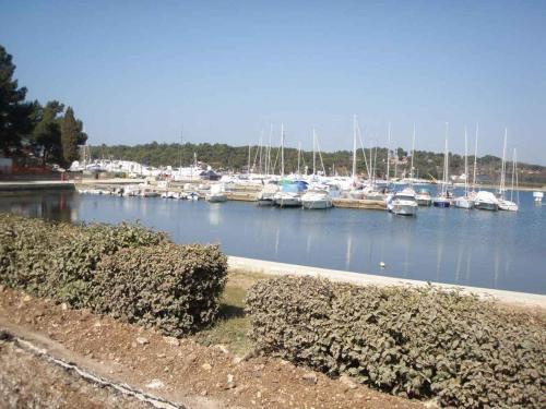 Apartments In Porec/istrien 9901