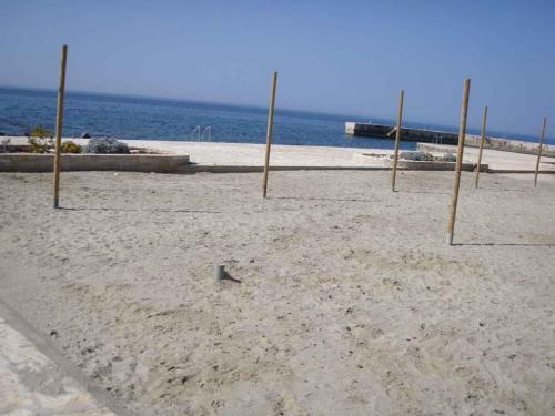 Apartments In Porec/istrien 9901