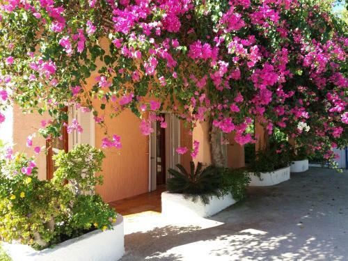 Constantinos Apartments