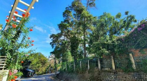 Hostal Ph? Hoa Villa Boutique & Homestay