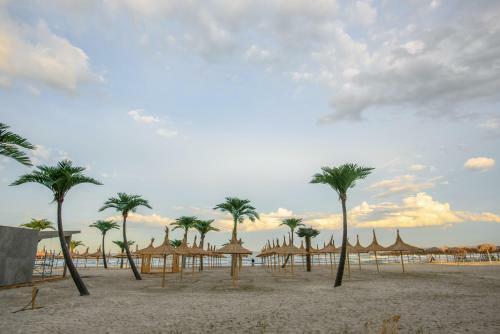 Apartamento Escape Navodari