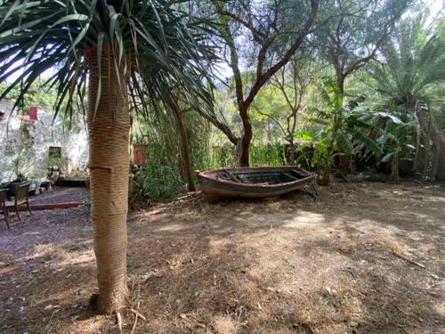 La Casa Del Molino De Viento