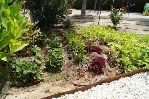 Agroturismo La Aldea