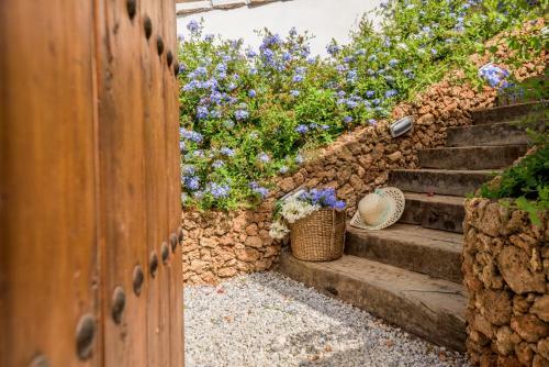 Villa Finca Florita