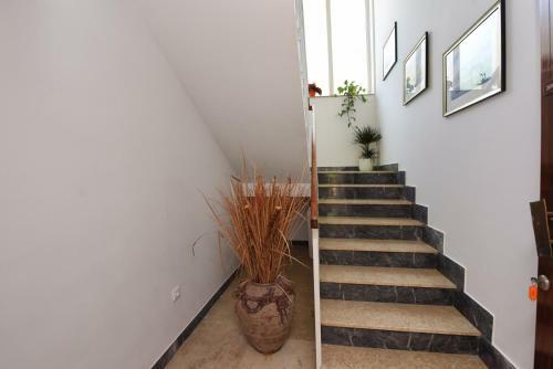 Apartment In Porec/istrien 38610