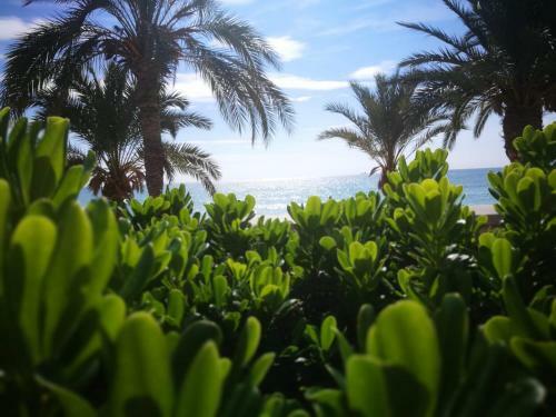 Apartamento Grandpa Beach House