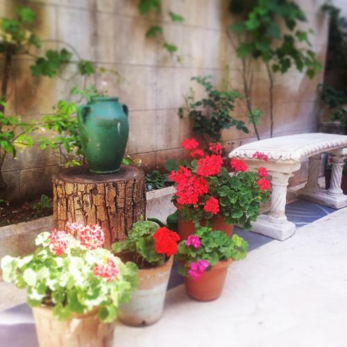 Hotel Ali Bey Konagi