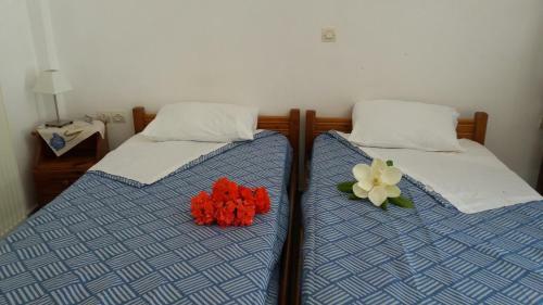 Apartamento Pantelatos Studios