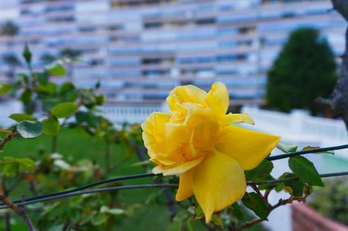 Apartamento Beach & Urban Playa San Juan