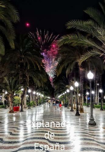 Apartamento Alicante & Urban Center