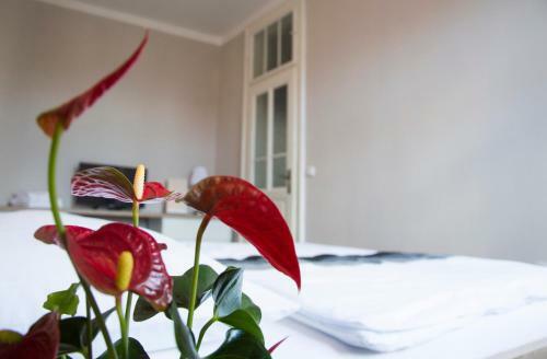 Apartamentos Designer Loft At Stodoln� Street