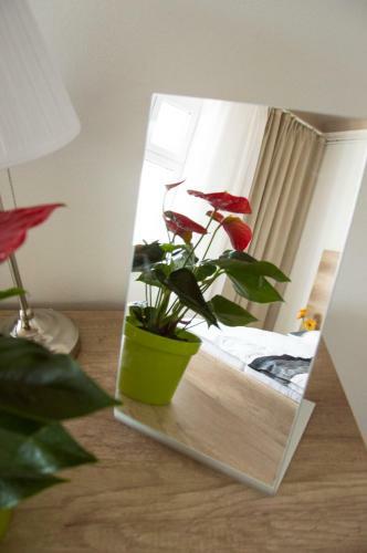 Apartamentos Designer Loft At Stodoln� Street