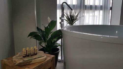 Murallas De Jayr�n Hotel Boutique