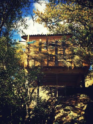 Villa Flores Amarillas