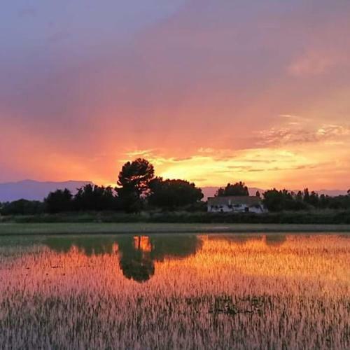 Apartament Caterina - Delta de L'ebre, Amposta