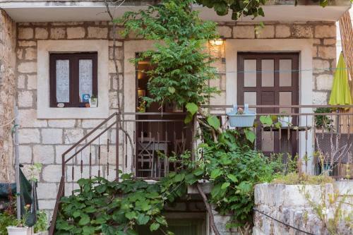 Apartments Villa Anka