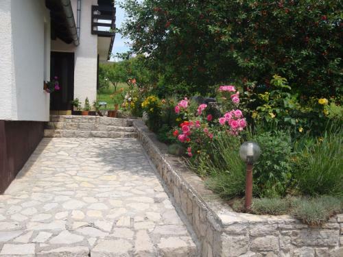 Hostal Guest House Jandric