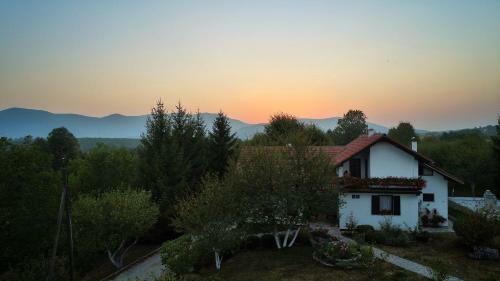 Hostal Guest House Jandric