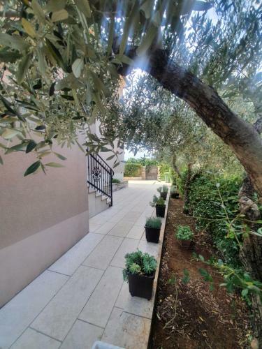 Hostal Apartment And Room Marlen