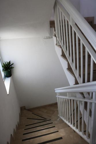 Apartamentos Villa Ivo
