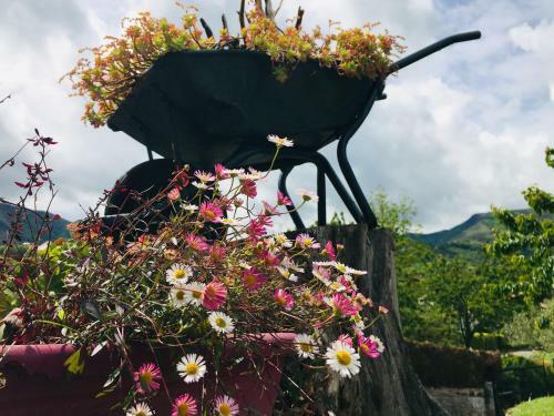 Agroturismo Ekialde Rural